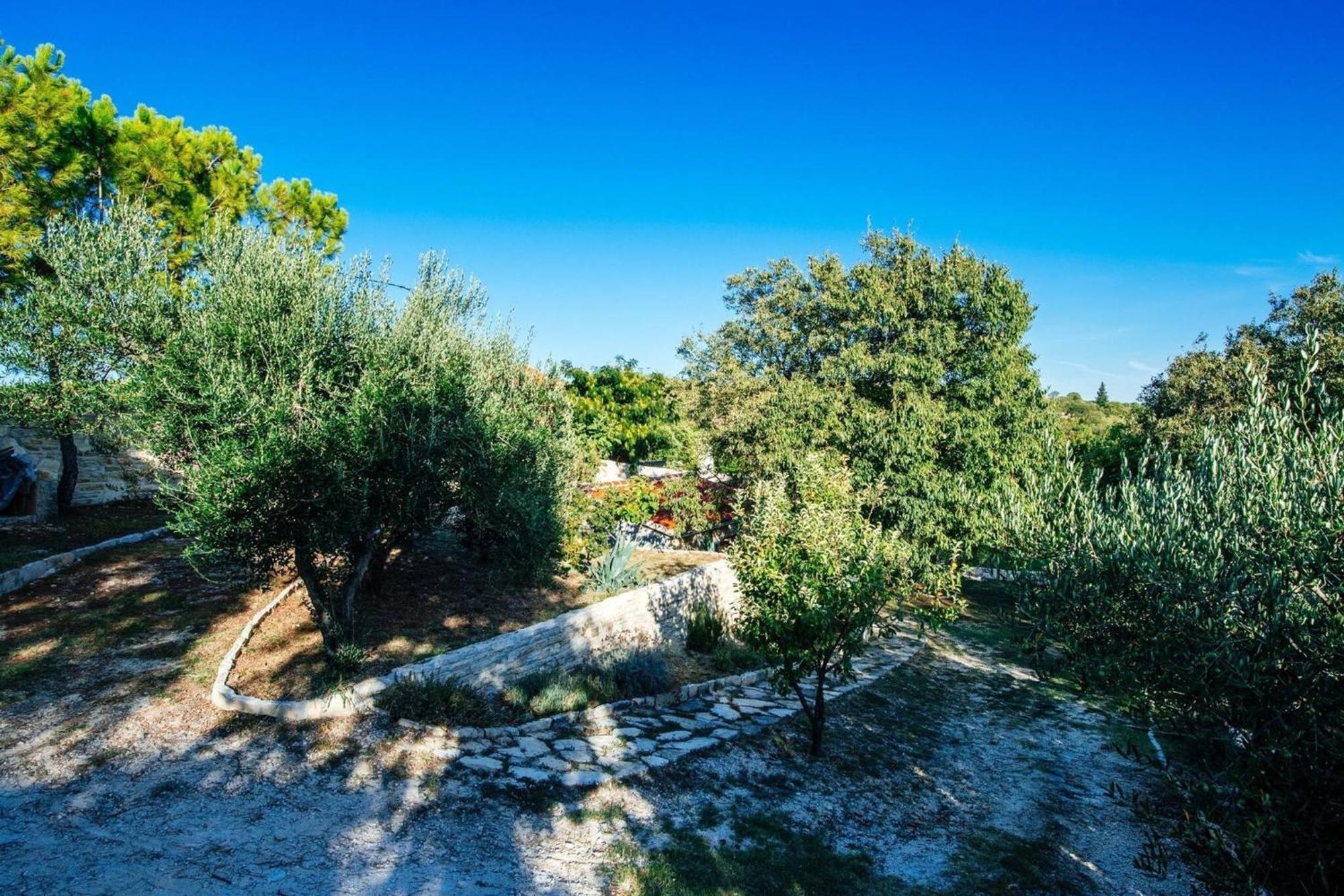 My Dalmatia - Holiday Home Korlat With Private Pool ベンコヴァツ エクステリア 写真
